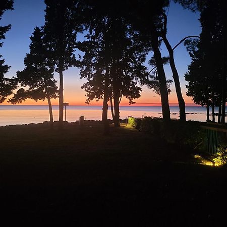 Villa Amore Radini Istrian Romantic Studio With Private Parking And Terrace 브르토니글라 외부 사진